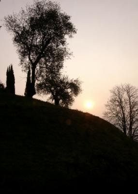 u7/joanteno/medium/41030386.SunriseonthehillBellagioMarch202005p.jpg