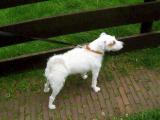 DSCF3851.jpg