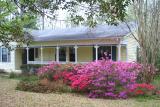 Ted & Michelles house, Gainesville