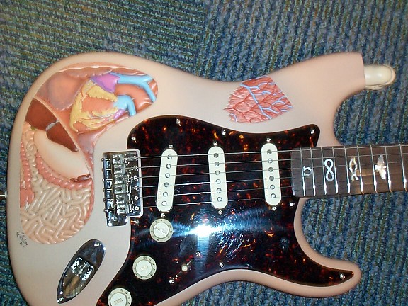 George Amicays Anatomy of a Strat
