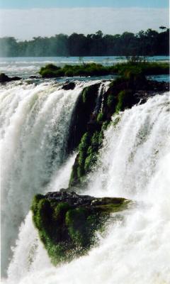 Iguazu top of the falls2.JPG