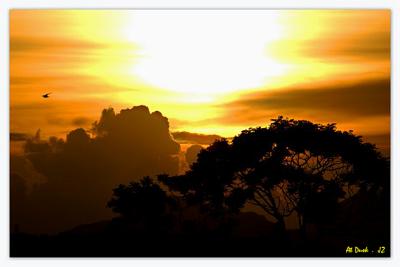 DSC_3408F.jpg