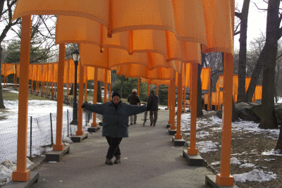 The Gates - Central Park - New York City - February, 2005