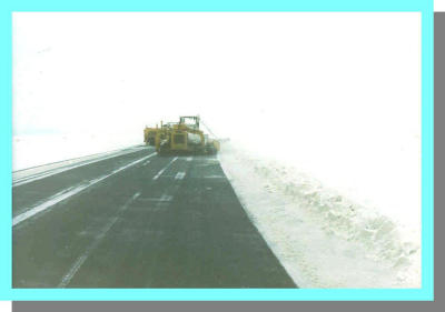 winter79 6.jpg