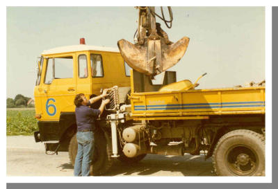 193.jpg