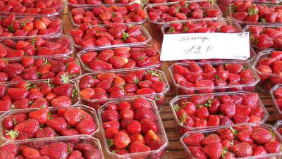Market Strawberries - St Cyprien France