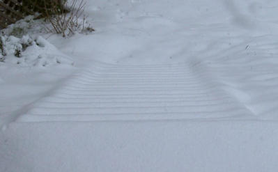 Snowy Steps.jpg