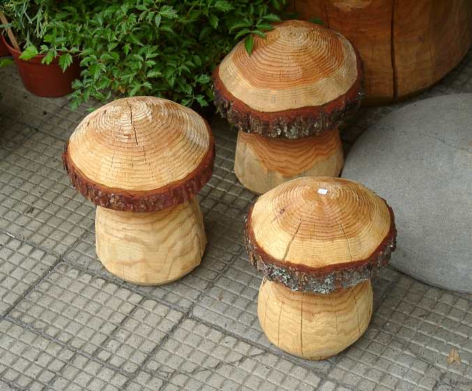 Wooden Mushrooms - Grindelwald
