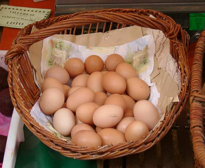 Fresh Eggs.jpg