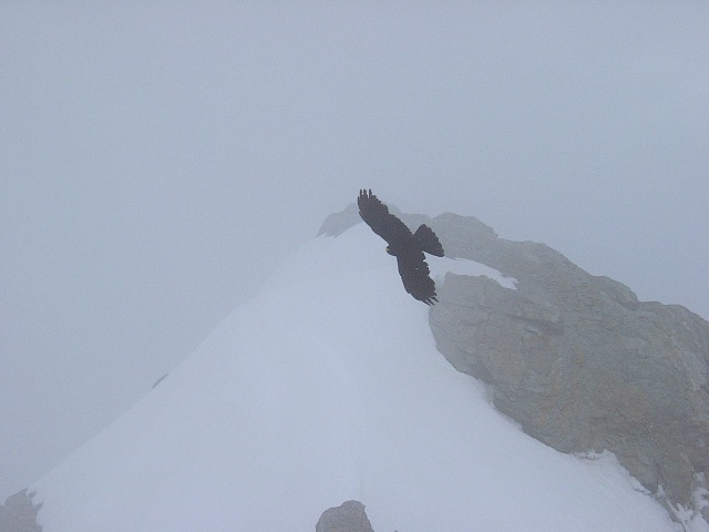 07030269.JPG