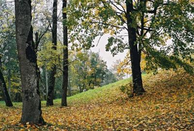 The Garden of Padise Monastery