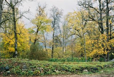 The Garden of Padise Monastery