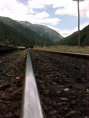 the train...