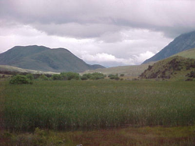 SA3