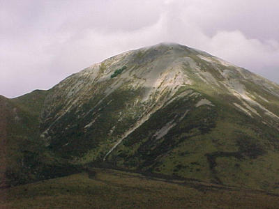 SA4