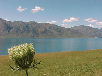 Makarora-wanaka