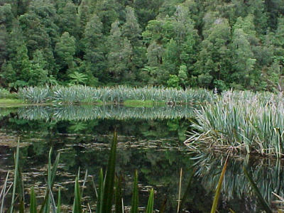 Lake Matheson