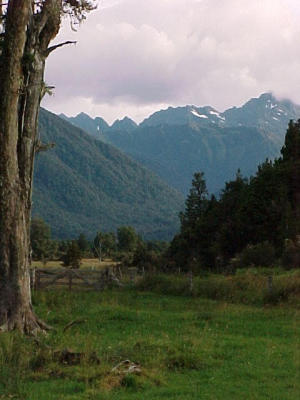 Mt Cook, is watching...