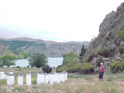 MVC-743F.JPG