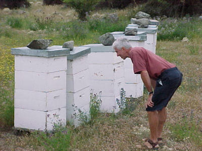 MVC-744F.JPG