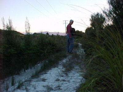 dusk walk in blue Spur