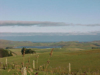 the catlins, southland
