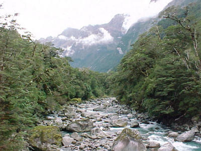 Fishing around lake Manapouri and Te Anau
