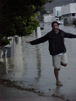 Windy wellington