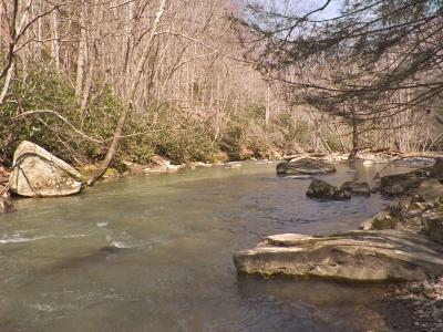 Brushy Creek