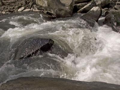 Rapids