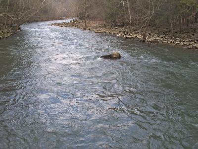 The Bluestone River