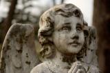 Babyland Closeup 02