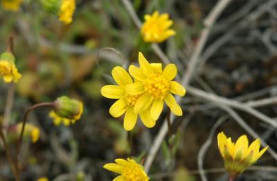 Eastern Oregon ColorMarch 26