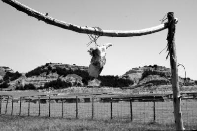 Corral - Badlands of Nebraska