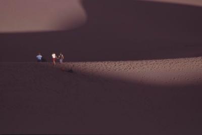 Evening at the Sand Dunes