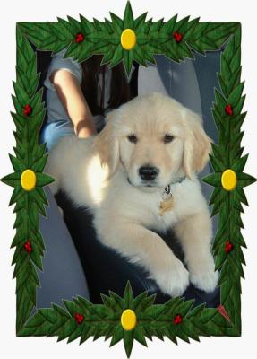 Merry Christmas!