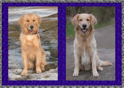 Do they look alike?