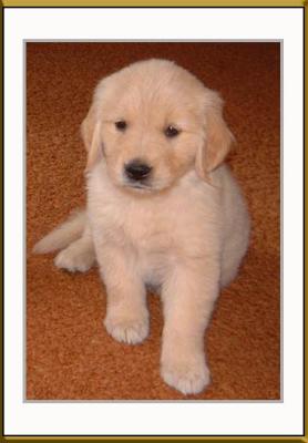 Baby Bailey framed portrait