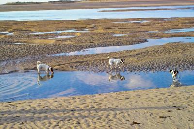 Low Tide at Armanville-Plage