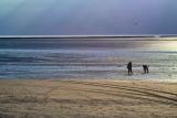 Low Tide at Armanville-Plage