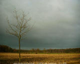 Turnhout / Kempen (Belgium) - De omgeving