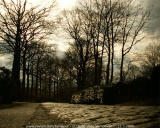Turnhout / Kempen (Belgium) - De omgeving