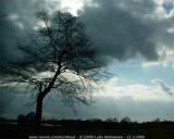 Turnhout / Kempen (Belgium) - De omgeving