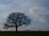 Turnhout / Kempen (Belgium) - De omgeving