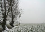 Turnhout / Kempen (Belgium) - De omgeving