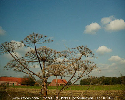 Turnhout / Kempen (Belgium) - De omgeving