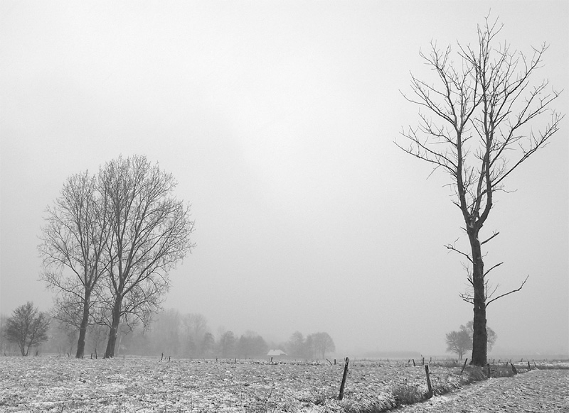 Turnhout / Kempen (Belgium) - De omgeving