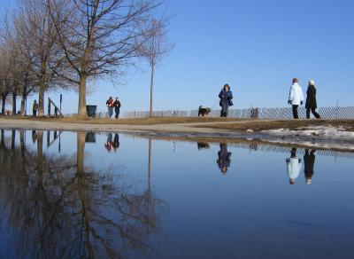spring in the beaches