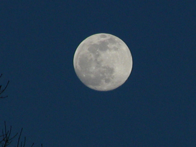 P1270252.JPG