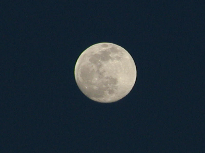 P1270260.JPG